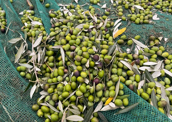 Традиции и качество