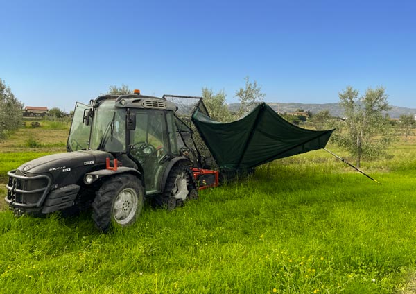 Компания Selva Giurata